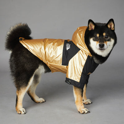 Impermeable para Perros Grandes - Abrigo Protector Ajustable - Image 17