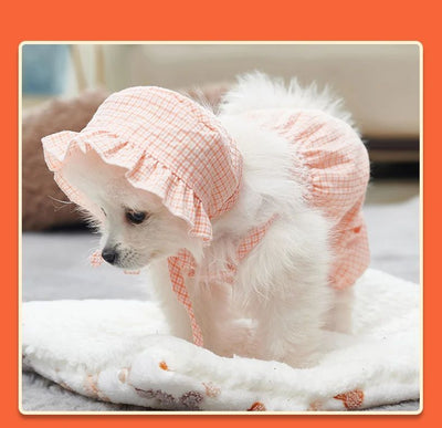 Conjunto de Ropa para Perro Mono Naranja con Gorro - Outfit Fashionable para Mascotas Pequeñas - Image 15