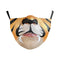 B 178 292 Talla Promedio Para Adulto