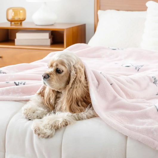 Cobija de felpa Peanuts Velvet Loft Snoopy 140 x 178 cm – Diseño The Flying Ace, oficial y ultra suave - Tekeno