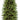 Artificial Slim Christmas Tree, Green, Kingswood Fir, Includes Stand, 7.5 Feet - Tekeno