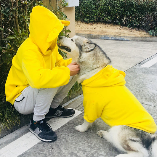 Suéter para Perro Todas las Estaciones - Image 12