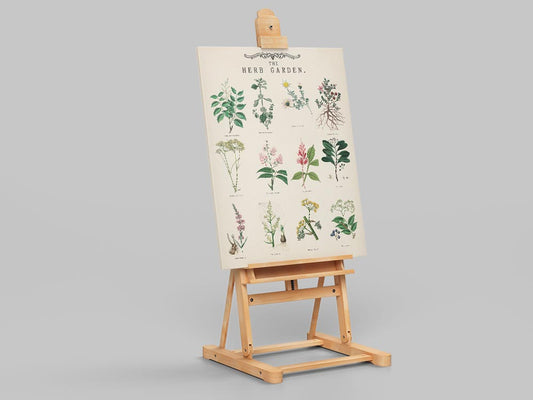 Lámina Vintage de Jardín de Hierbas Aromáticas con Ilustraciones Botánicas Educativas - Image 2
