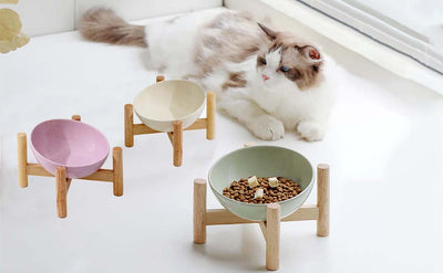 Comedero Elevado para Gatos con Soporte de Madera - Cuencos Cerámicos Antideslizantes - Image 10