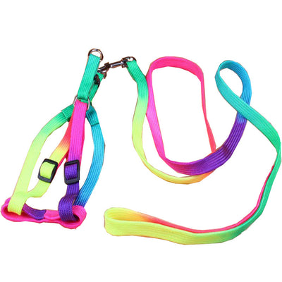 Correas Coloridas para Mascotas - Image 3