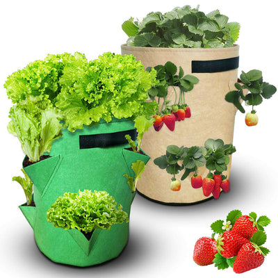 Bolsa de Cultivo en Fieltro Premium - Image 12