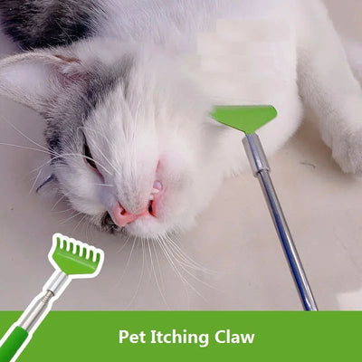 Juguete Interactivo para Gatos con Cepillo Masajeador y Rascador - Image 10