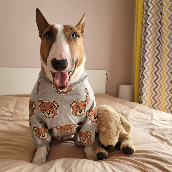 Playera para Mascota con Estampado de Osito Adorable
