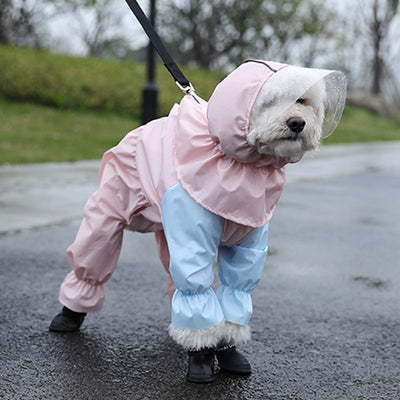 Impermeable para Perros Teddy de Cuatro Patas Completo - Image 9