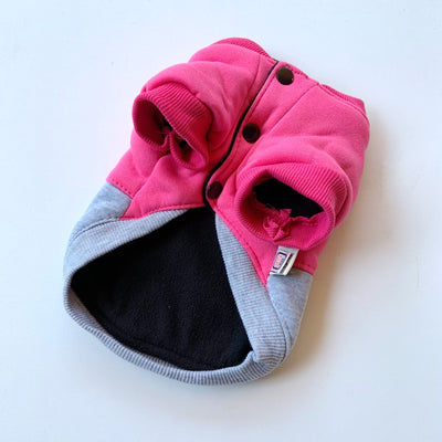 Ropa DIY para Perros Grandes y Bichones - Diseña el Estilo de tu Mascota - Image 8