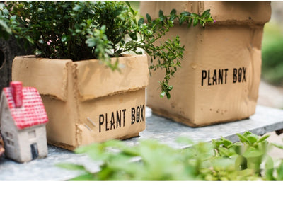 Maceta Creativa de Papel Cemento para Plantas de Interior y Balcón - Image 15