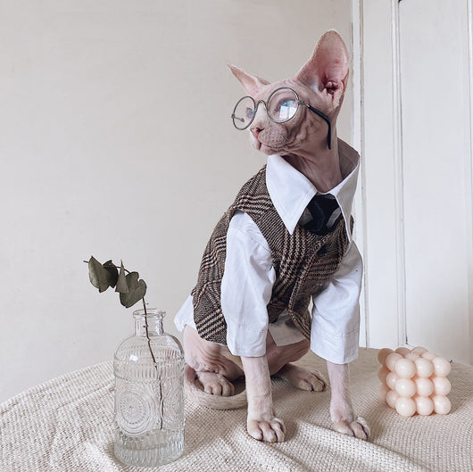 Traje Elegante para Gatos Sphynx y Razas sin Pelo - Image 7