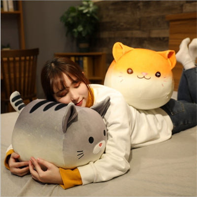 Peluche Gato Pan Suave - Muñeco Dumpling Adorable - Image 10