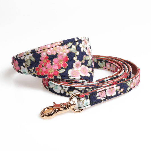 Conjunto de Collar y Correa Japonés para Perros - Image 6