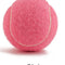 Rosa 6.3 Cm 1ud