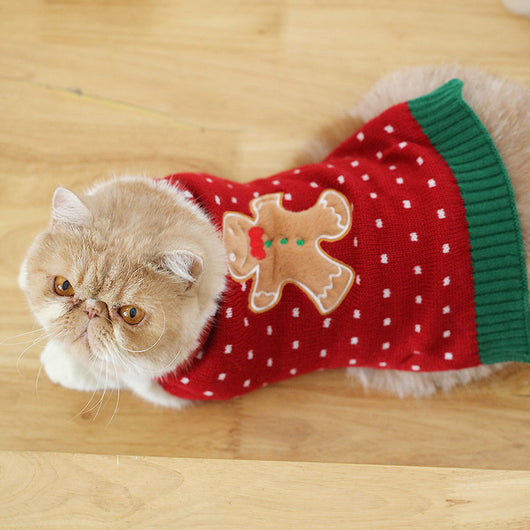 Suéter Gato Azul Británico para Otoño e Invierno - Image 31