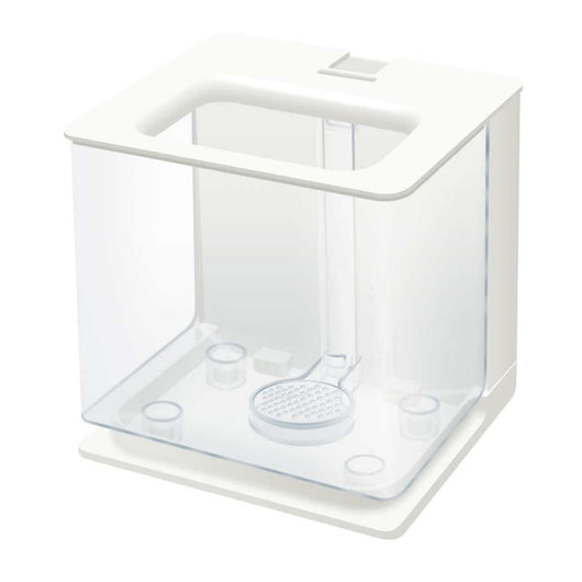 Acuario Pequeño Autolimpiable - Image 11