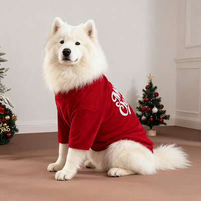 Ropa Navideña para Mascotas - Abrigos y Suéteres para Otoño e Invierno - Image 8