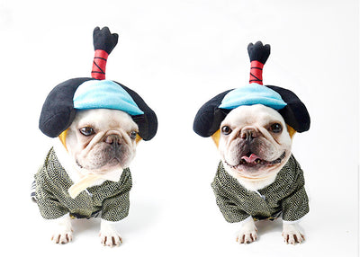 Disfraz de Guerrero Samurái para Perros - Estilo Kimono Japonés - Image 10
