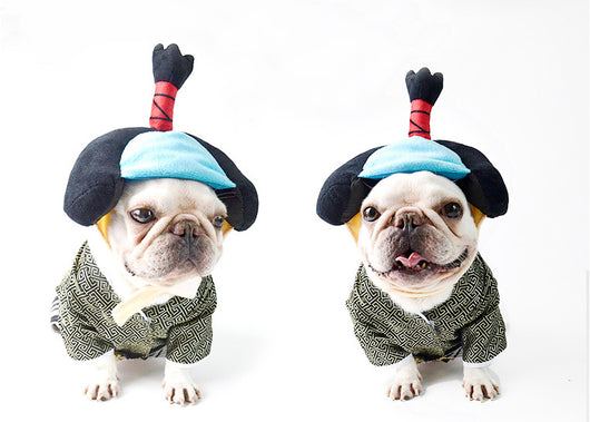 Disfraz de Guerrero Samurái para Perros - Estilo Kimono Japonés - Image 10