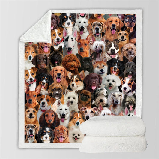 Manta Franela Estampada para Perros - Image 58