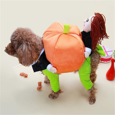 Decoraciones de Calabaza Halloween para Mascotas - Image 6