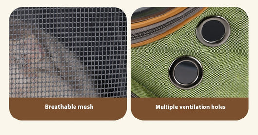 Mochila Transportadora Transparente de Gran Capacidad para Mascotas - Image 32
