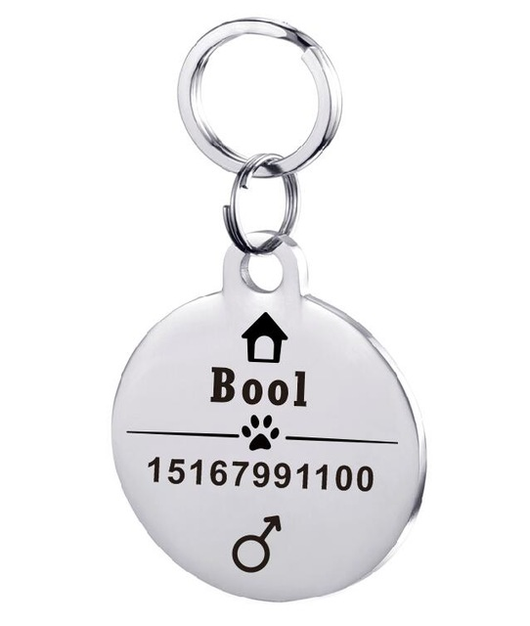 Placa de Identificación para Perro en Acero Inoxidable Personalizada - Image 25