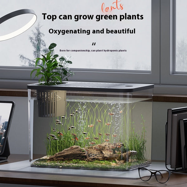 Acuario Ecológico Compacto para Peces Betta - Decoración Minimalista - Image 3