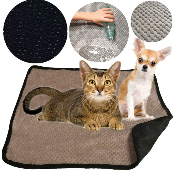 Pañales Absorbentes para Perros - Protección Confiable