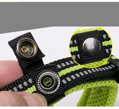 Collar para Perro de Nylon Reflectante Ajustable - Image 3