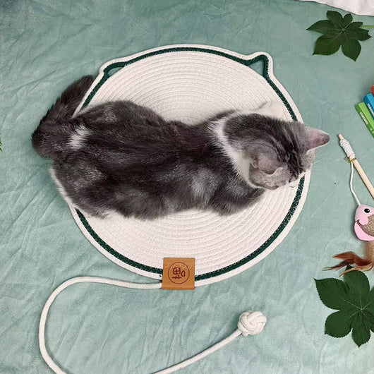 Nido de Ratán para Gatos Resistente sin Pelusa - Image 3