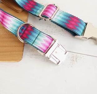 Juego de Collar y Correa para Perro con Patrón y Cinta de Color - Image 3