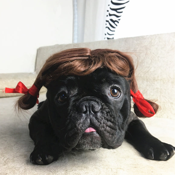 Peluca Transformadora para Mascotas - Perros y Gatos