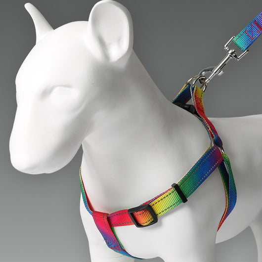 Arnés Colorido con Correa para Perros - Diseño Creativo y Seguro
