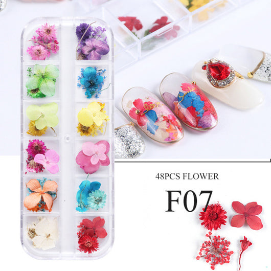 Kit de Flores Secas para Decoración de Uñas - 12 Compartimentos con Margaritas y Flores Silvestres Reales - Image 16