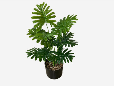 Planta Artificial Decorativa Tortuga - 12-24 Cabezas Verdes para Pared y Jardín - Image 23