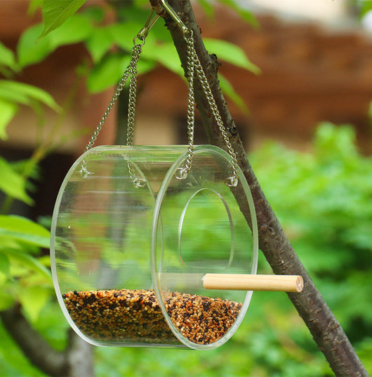 Dispensador Acrílico para Alimento de Aves - Image 3