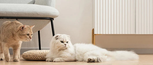 Cepillo Gato 4 en 1 con Vapor - Deslanador y Masajeador para Mascotas - Image 11