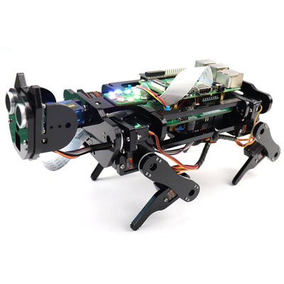 Perro Robot Raspberry Pi con Reconocimiento Facial - Image 6