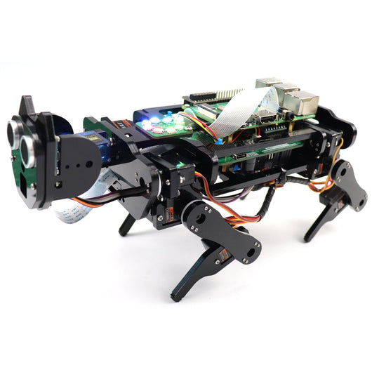Perro Robot Raspberry Pi con Reconocimiento Facial - Image 6