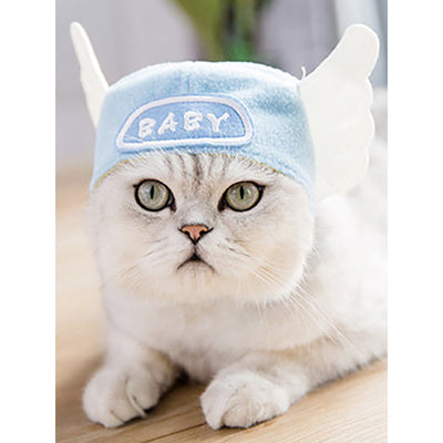 Gorro Rizado Divertido para Mascotas - Disfraz Cómico para Gatos y Perros - Image 17