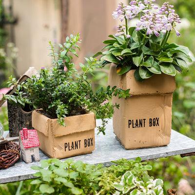 Maceta Creativa de Papel Cemento para Plantas de Interior y Balcón