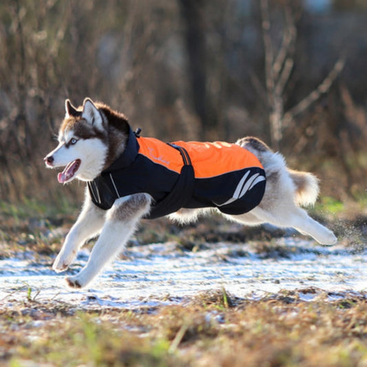 Abrigo Acolchado de Plumón para Perros - Cálido y Elegante