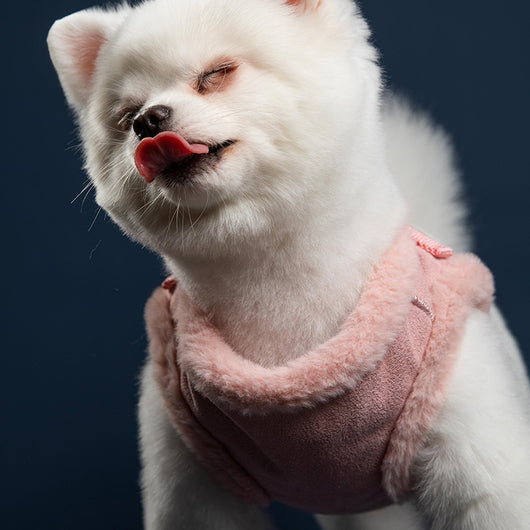 Correa Ajustable para Perro Pequeño y Mediano con Diseño Conejo Peluche