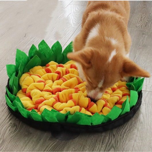 Tapete de Olfato para Perros y Gatos - Enriquecimiento Mental y Entrenamiento - Image 12