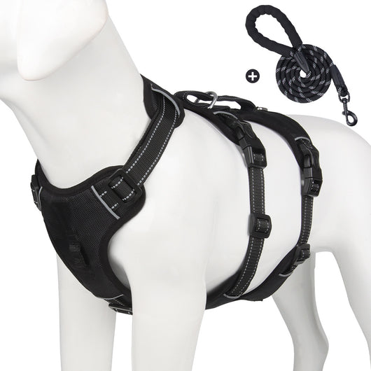 Correa para Perro Grande con Manija Antiexplosión y Control de Pecho y Espalda - Image 9