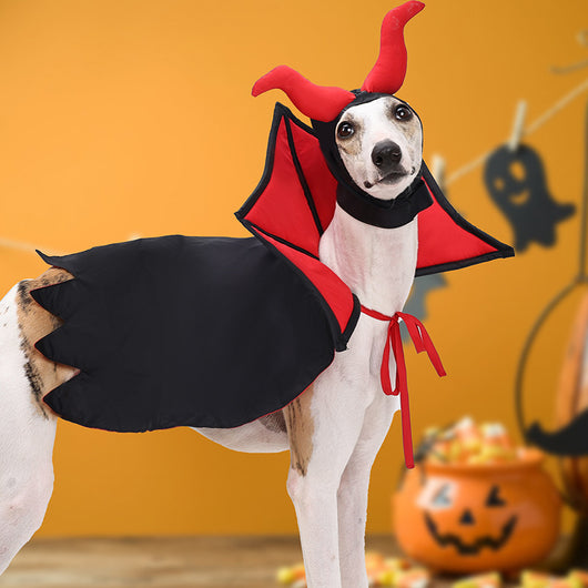 Disfraz de Vampiro para Mascotas con Capa y Sombrero - Image 3