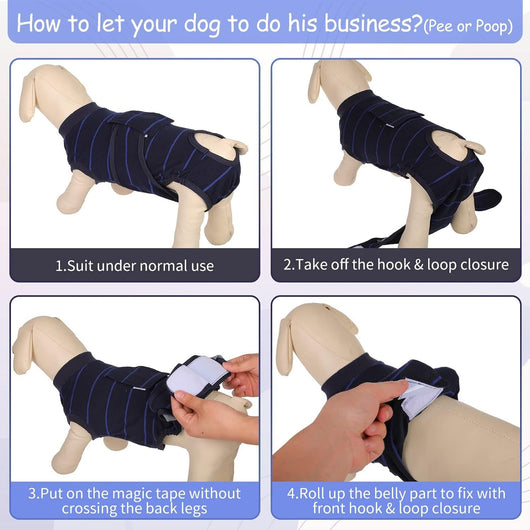 Traje de Recuperación Canino Anti-lamido - Image 15