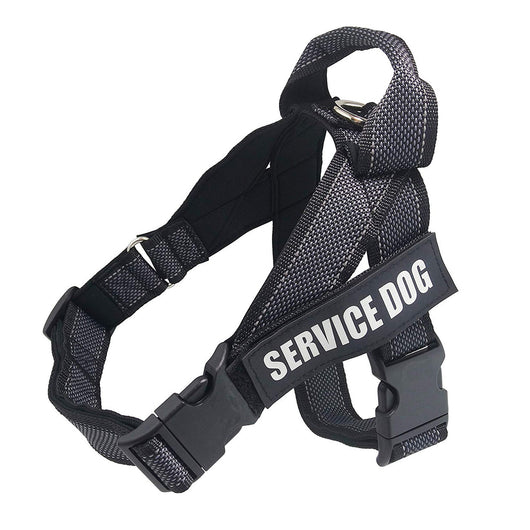 Arnés de Seguridad para Perros Grandes en Auto - Image 9